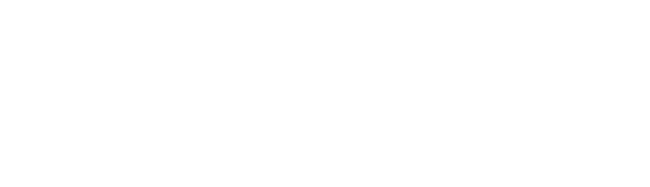 PM Arg logo